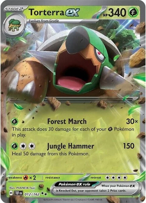 Torterra Ex (12)